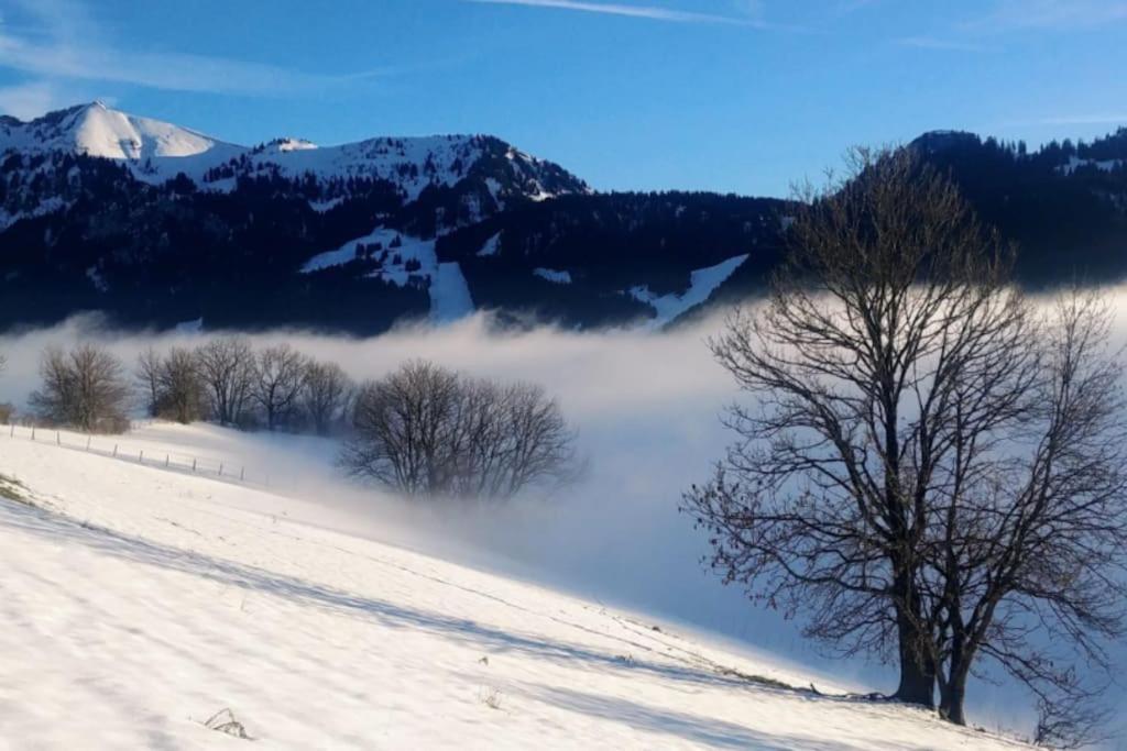 Apartmán Jolie Vue Au Calme Évian-les-Bains Exteriér fotografie